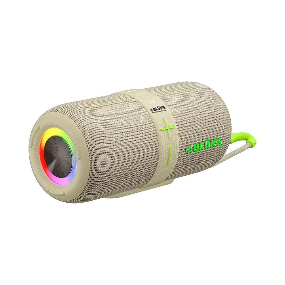 BX-200 24W Bass Wireless Speaker